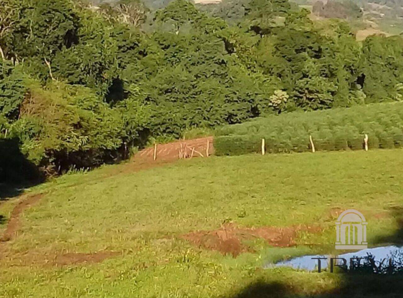 Sítio/Chácara no bairro Interior, em São Paulo das Missões, foto 3 de 3
