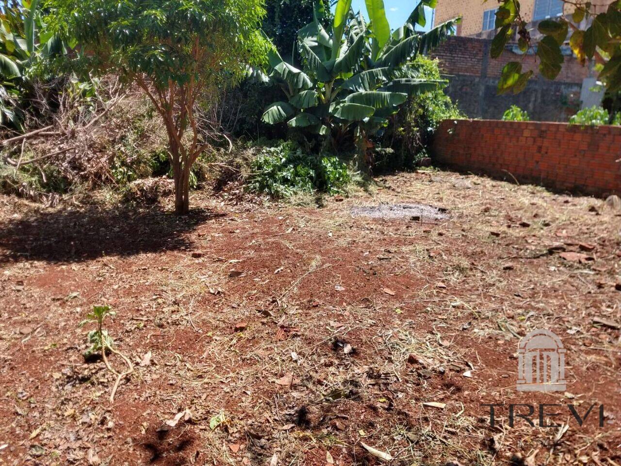 Terreno no bairro Centro, em Santo Ângelo, foto 5 de 6